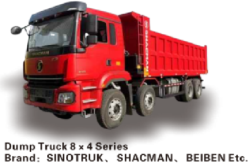 Dump Truck 8x4 Series